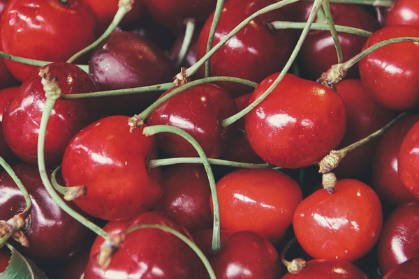 Montmorency Cherry for Sleep – The Natural Insomnia Remedy